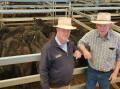 Agent Phillip Hetherington with Phillip Dempsey, Dempsey Pastoral Company, Nundle, and his lead pen of steers weighing about 260 kilograms that made $1240 a head at Tamworth store sale on Friday. Picture by Michelle Mawhinney, Tamworth Livestock Selling Agents Association.