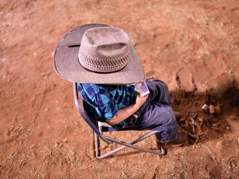 "True heatwave" conditions could hit north Queensland, from Charters Towers inland to Mount Isa. (Dan Peled/AAP PHOTOS)