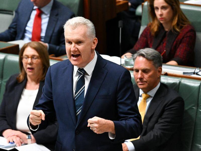 Tony Burke is negotiating to pass new laws that crack down on labour loopholes. (Lukas Coch/AAP PHOTOS)